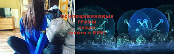 тгк Богородицк
