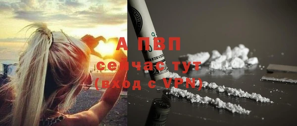 тгк Богородск