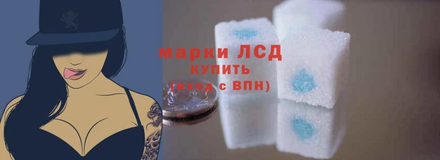 тгк Богородск
