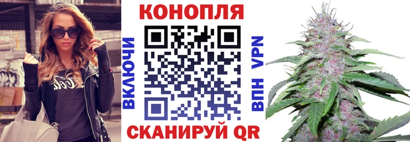 Бошки Шишки план  Берёзовка 